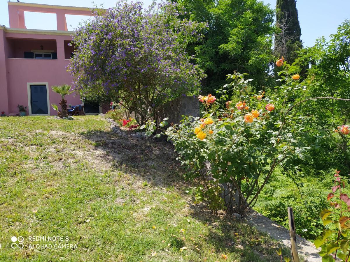Potamós Corfu Villa Galini מראה חיצוני תמונה